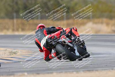 media/Feb-09-2025-CVMA (Sun) [[503986ac15]]/Race 11-Amateur Supersport Open/